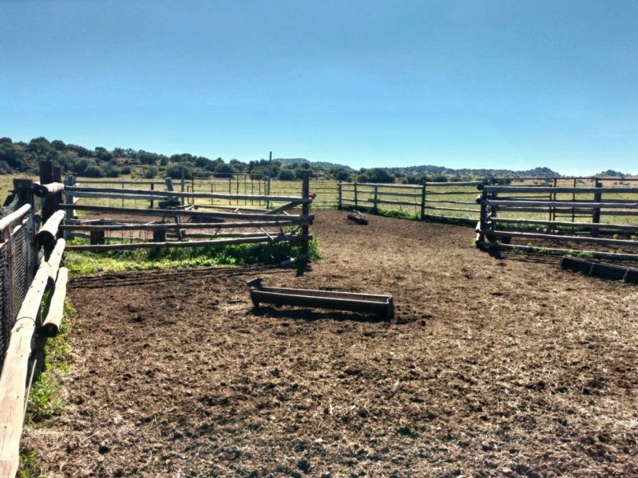 4 Bedroom Property for Sale in Bloemfontein Rural Free State
